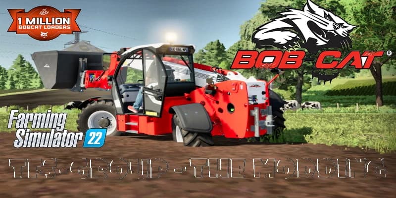 BOBCAT 1033 ANIVERSARY 5