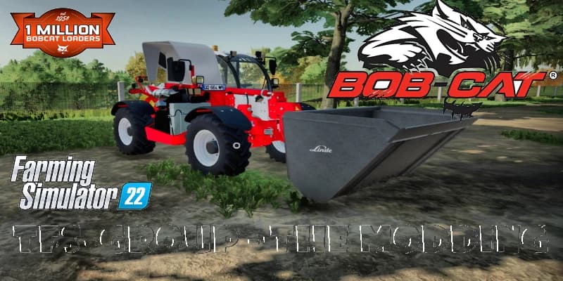 BOBCAT 1033 ANIVERSARY 3