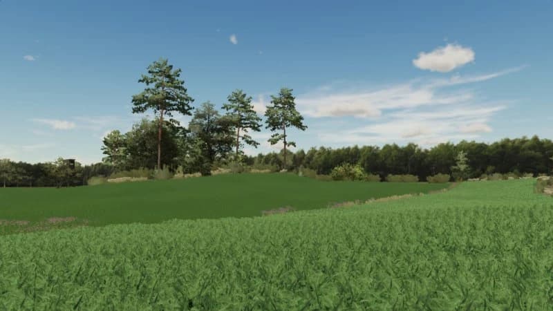 BOĆKOWO SAVEGAME