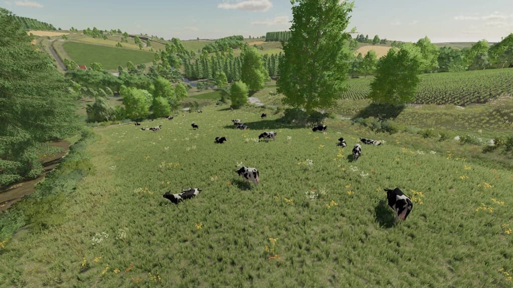BOCONNOC MAP 5