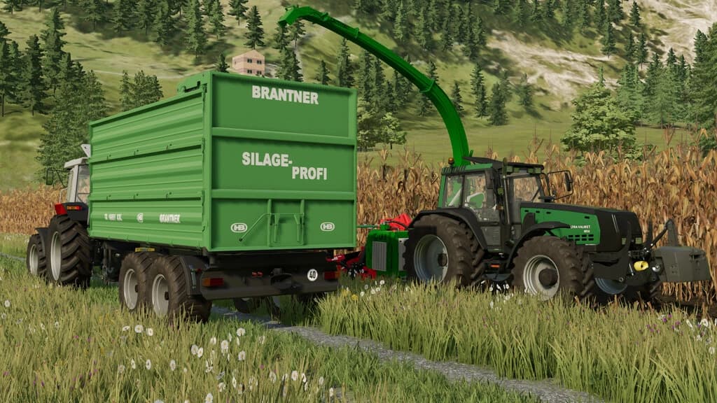 BRANTNER TA 16051 XXL 5