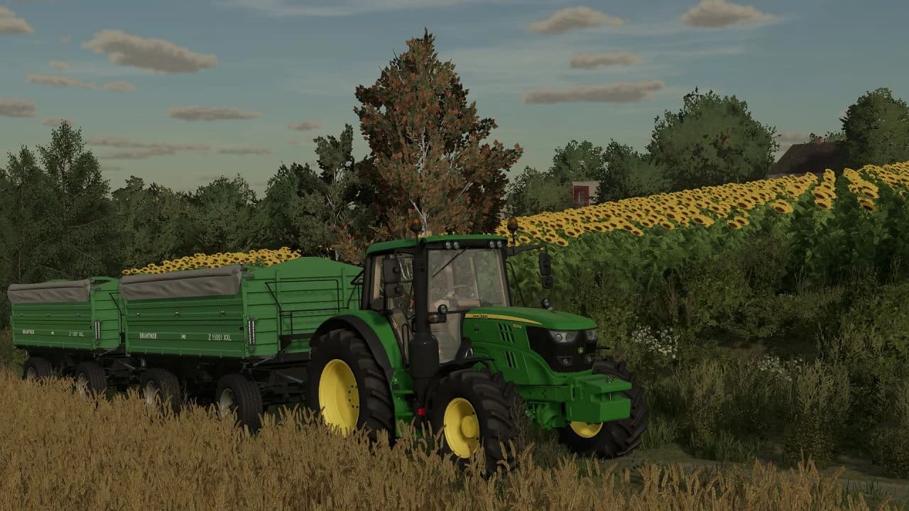 BRANTNER Z11045 XXL 3