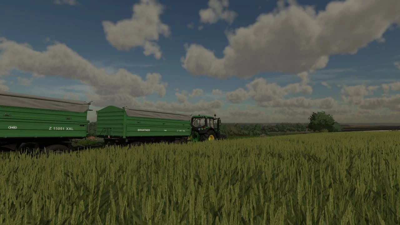 BRANTNER Z11045 XXL