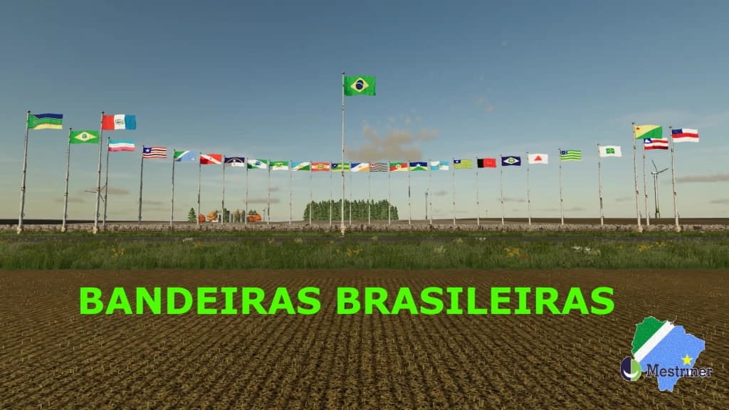 BRAZILIAN FLAGS 3