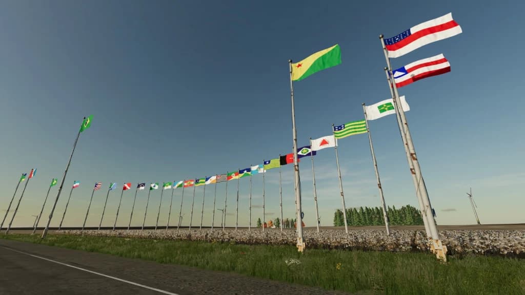 BRAZILIAN FLAGS 2