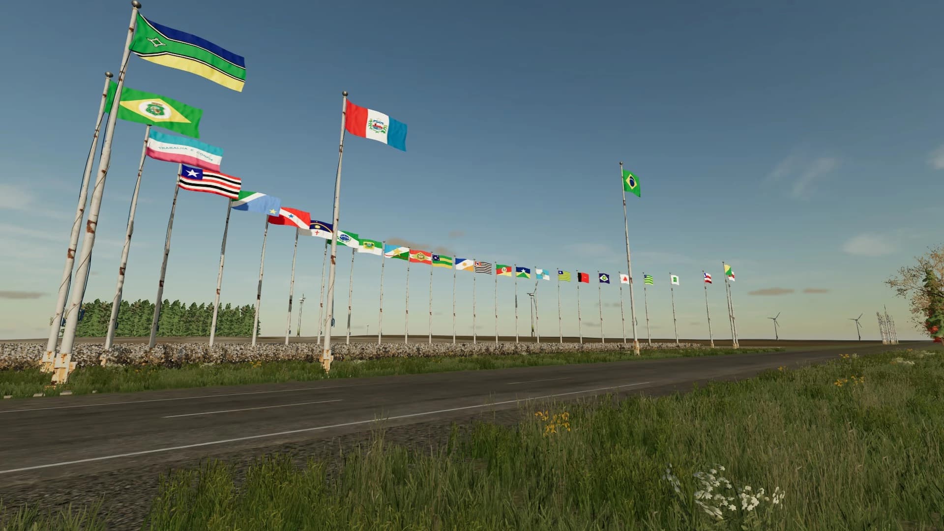 BRAZILIAN FLAGS