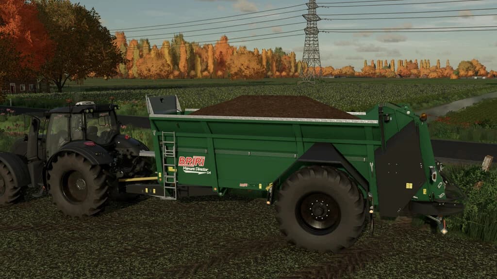 BRIRI MANURE DIRECTOR 14