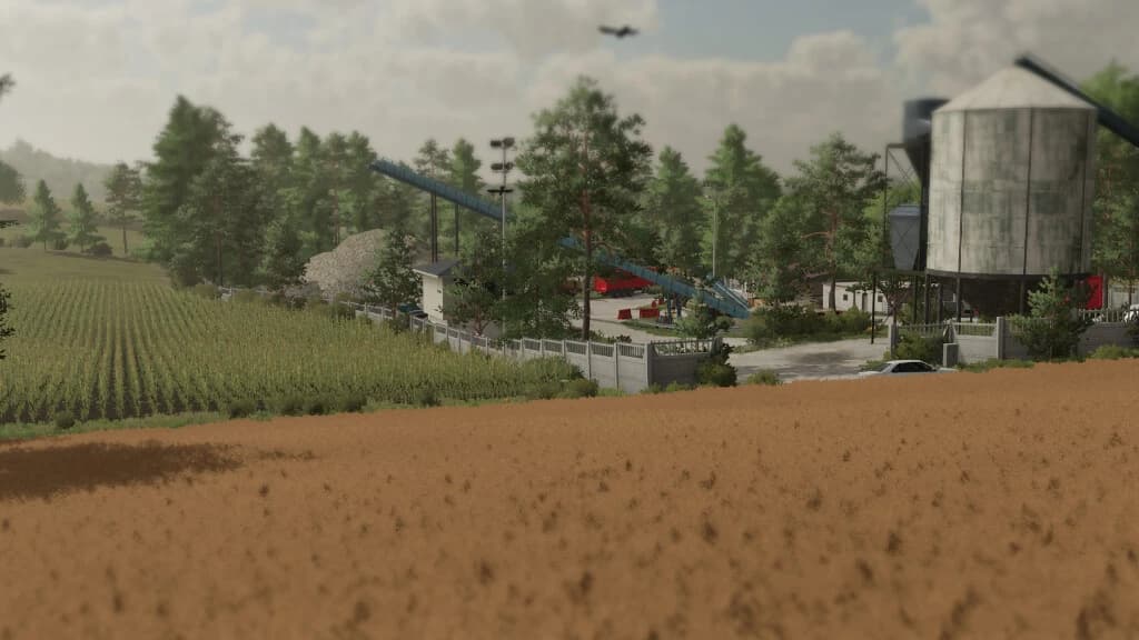 BRZOZOWKA 2