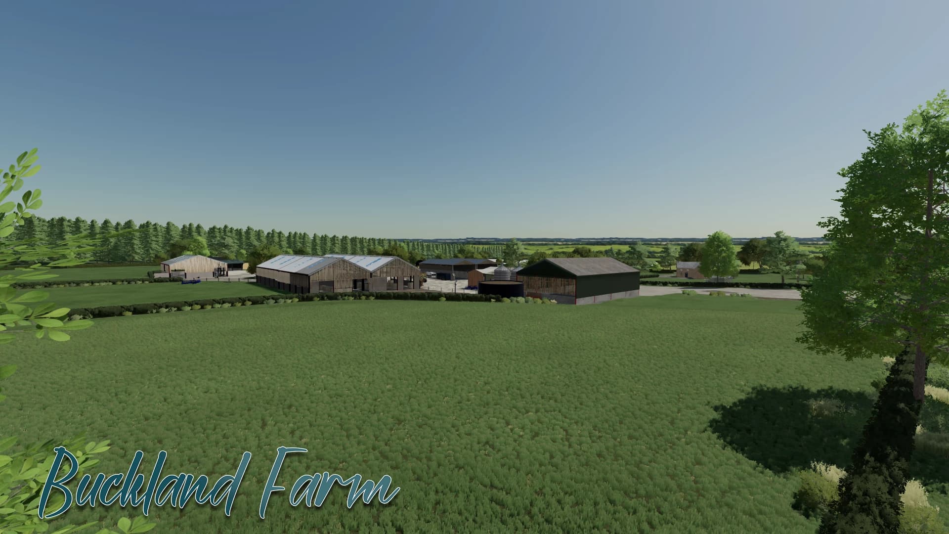 BUCKLAND FARM Update