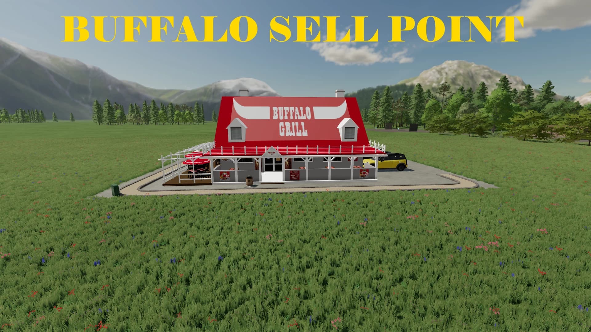 BUFFALO SELL POINT 2
