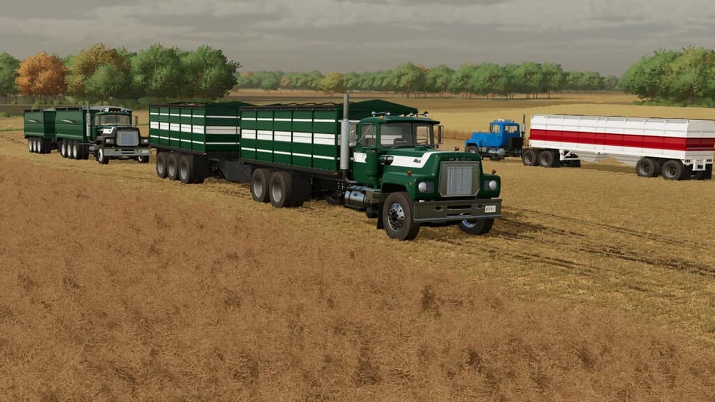 BULK TRUCK BED PACK 3