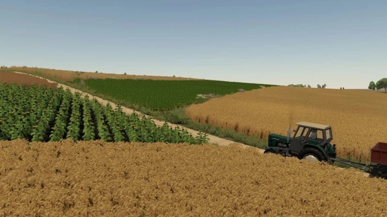 BZITE MAP 4