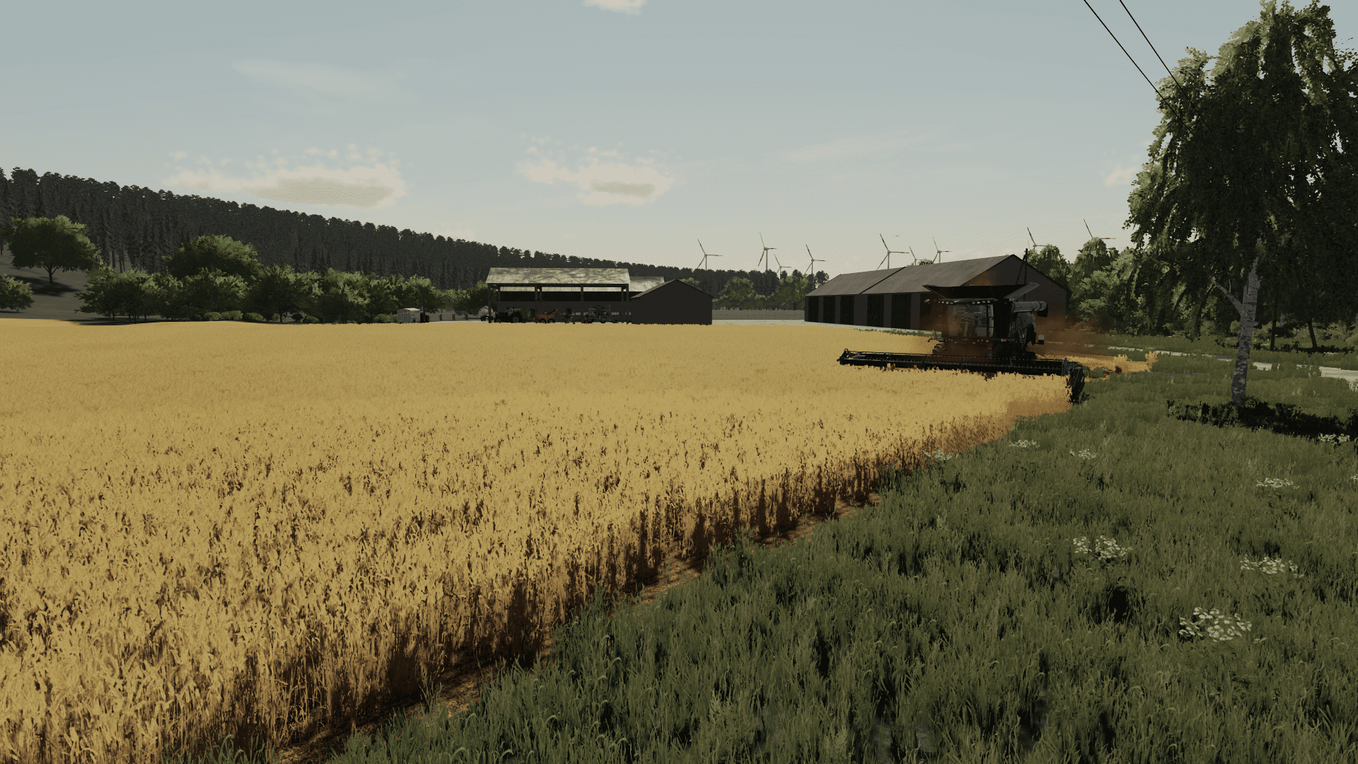 Blue River Farm 3