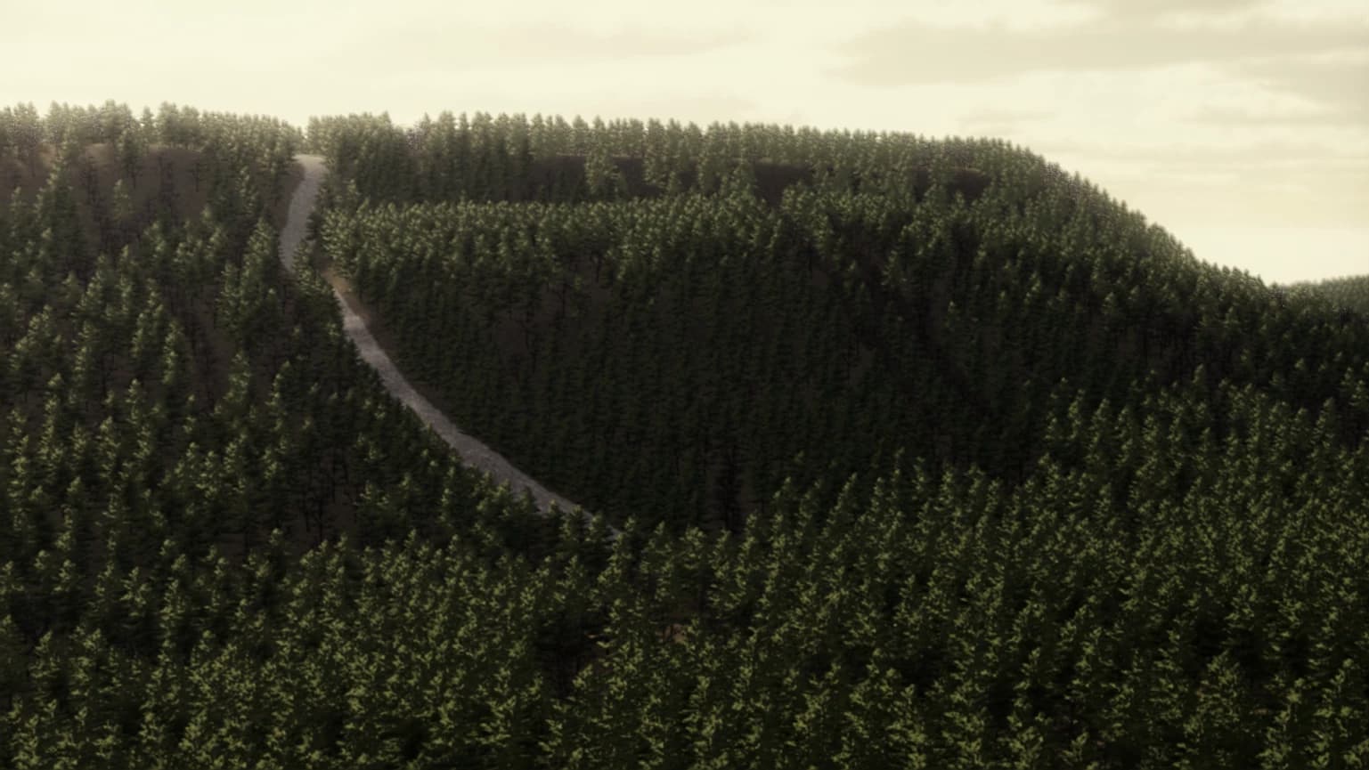 CA LOGGING/ LANDCLEARING 3