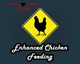 CAFE ENHANCED CHICKEN FEEDING