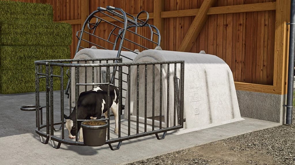 CALF IGLU 2