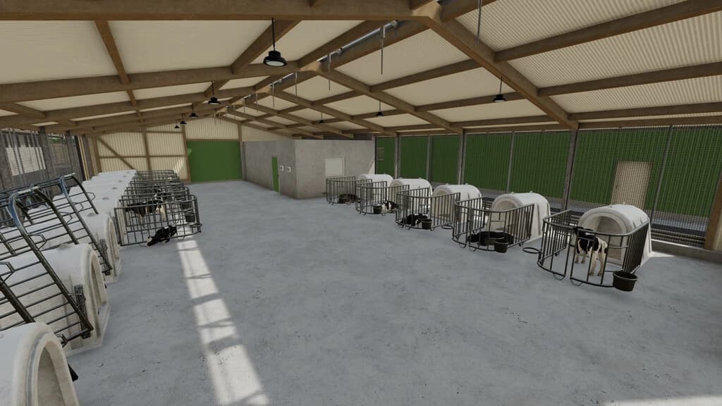 CALF VILLAGE 3