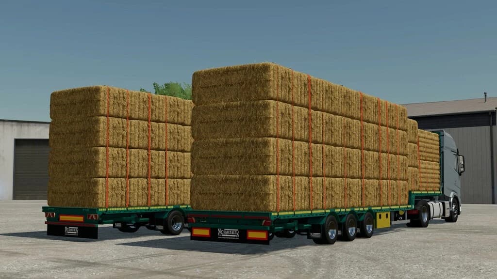 CAMARA FLATBED SEMITRAILER 3