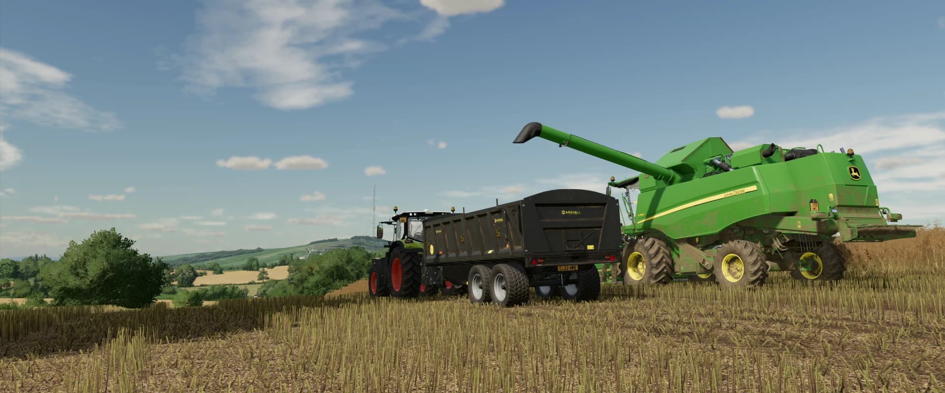 OSR/CANOLA CROP TEXTURES 6