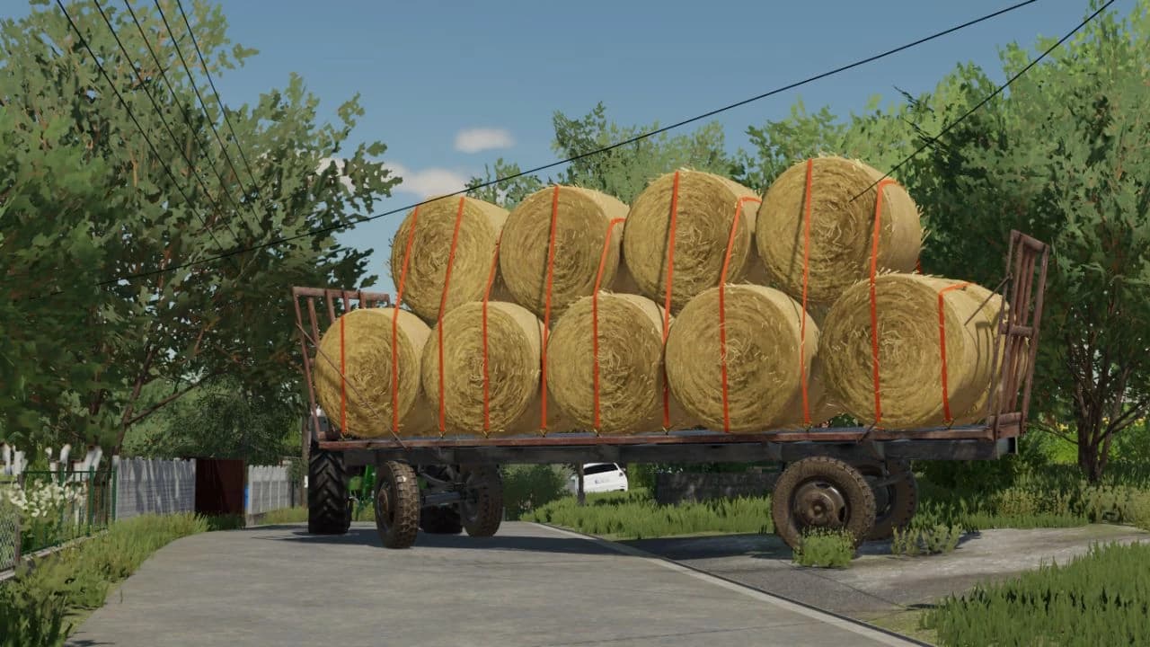 CAROLINA BETA 2