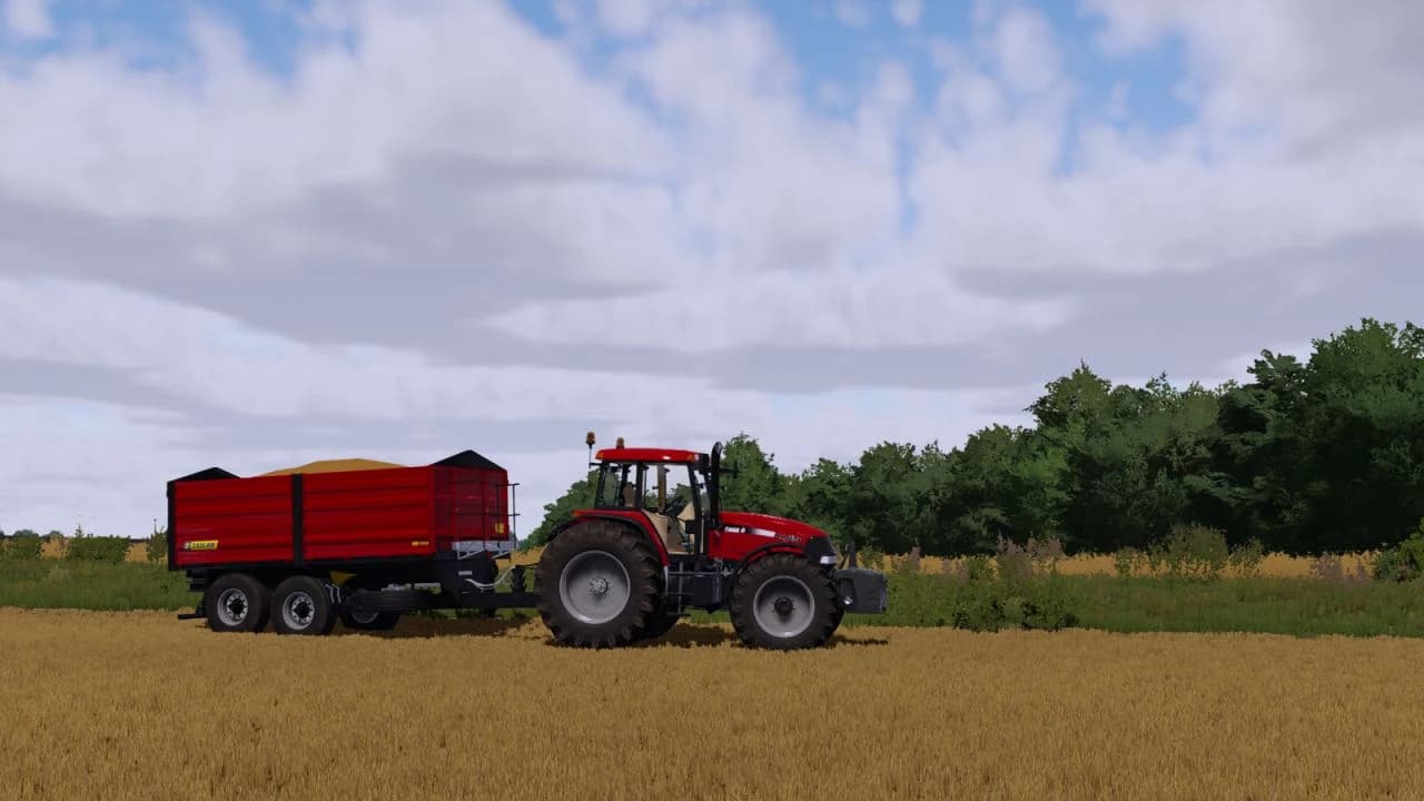 CASE IH MXM 190 3