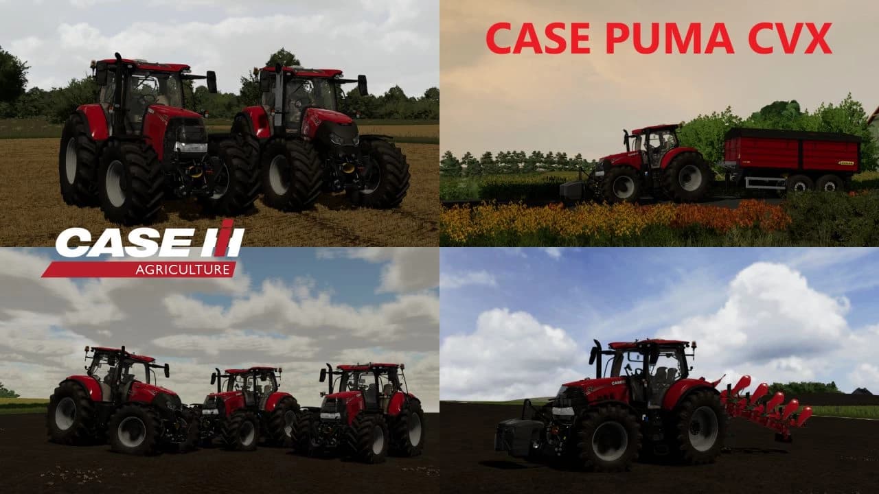 CASE PUMA CVX PACK 5