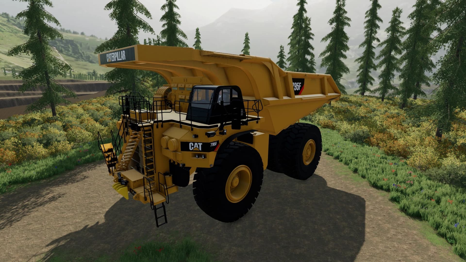 CAT 795 FAC