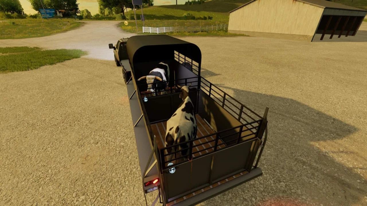 CATCH LIVESTOCK TRAILER 5