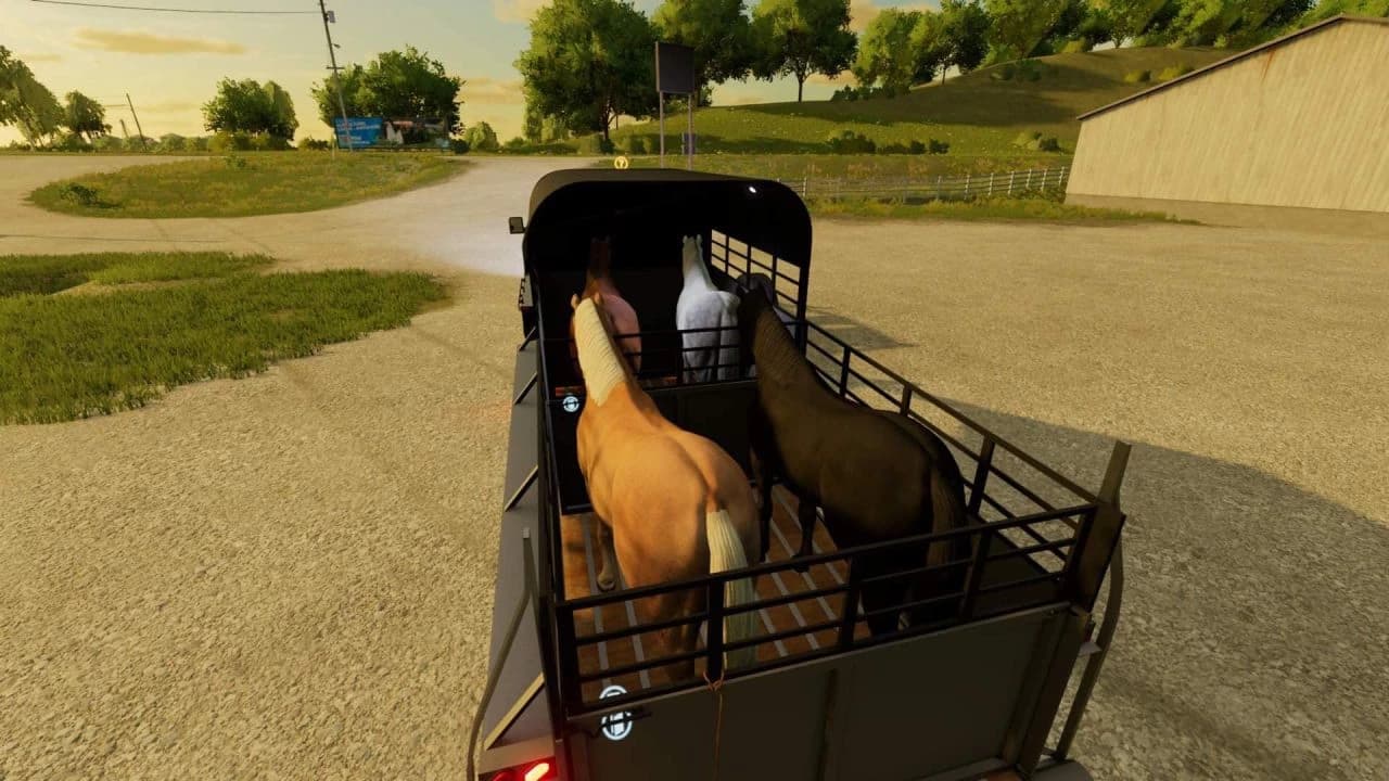 CATCH LIVESTOCK TRAILER