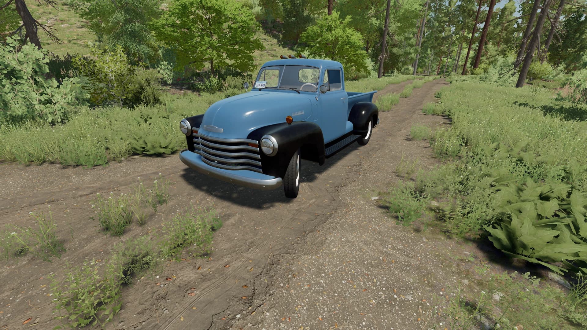 CHEVROLET 3100 5