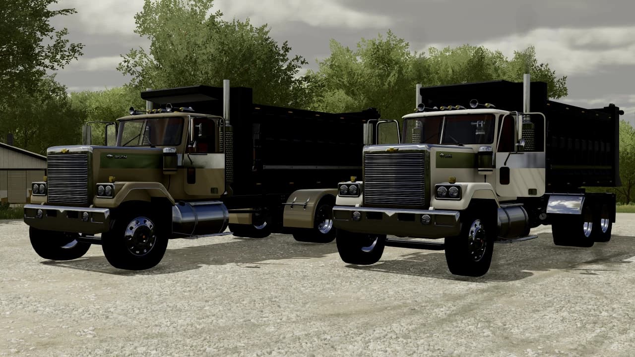 CHEVROLET BISON 5