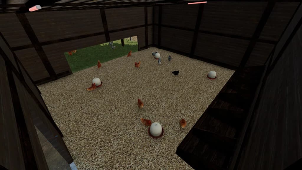 CHICKEN SHED 5
