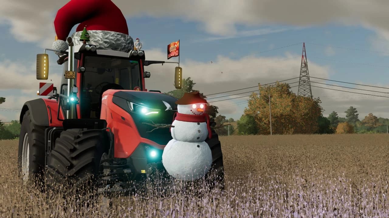 CHRISTMAS WEIGHT 2