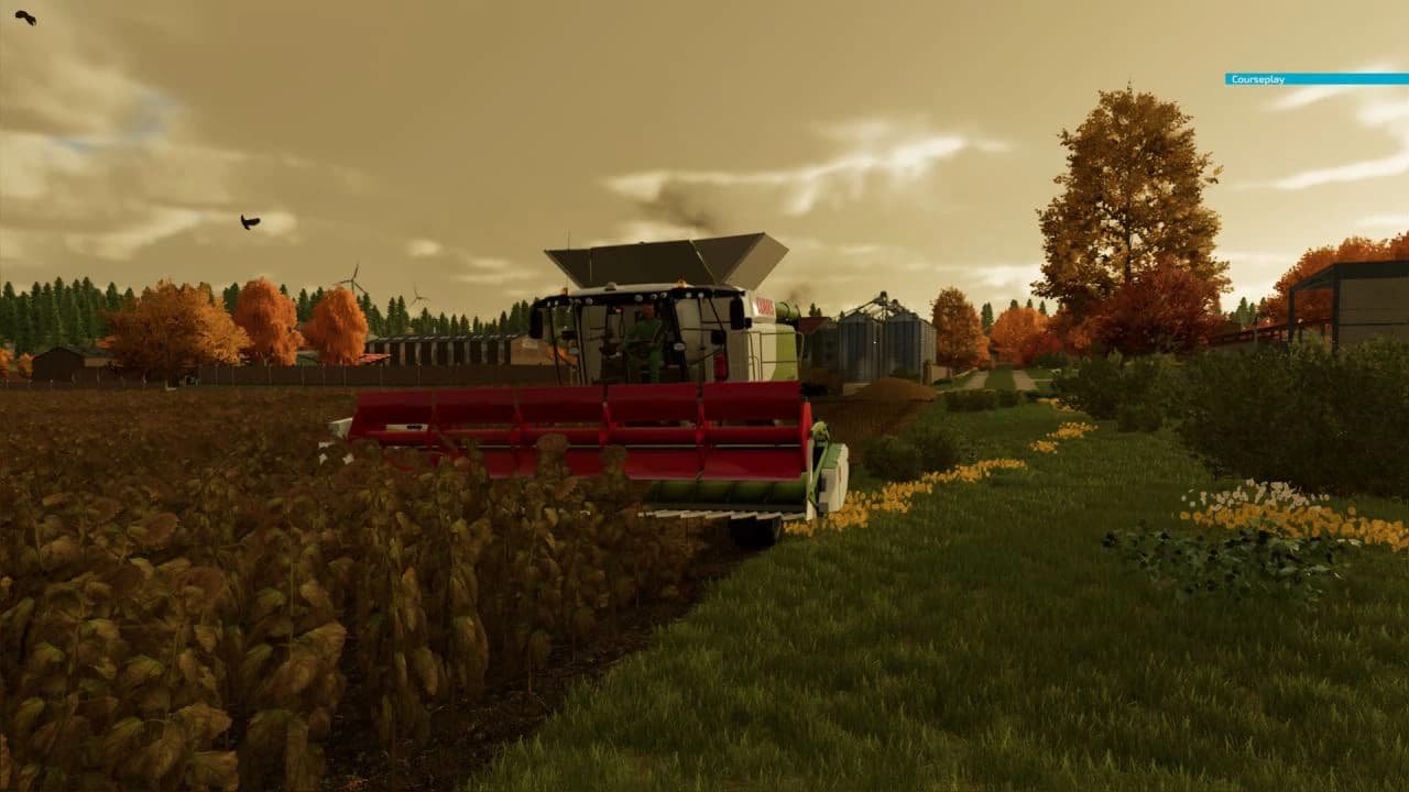 CLAAS C600 SUNFLOWER BETA 2