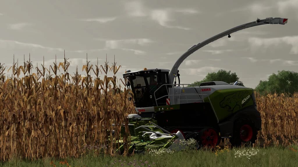 CLAAS JAGUAR 960-990 TT PACK 4