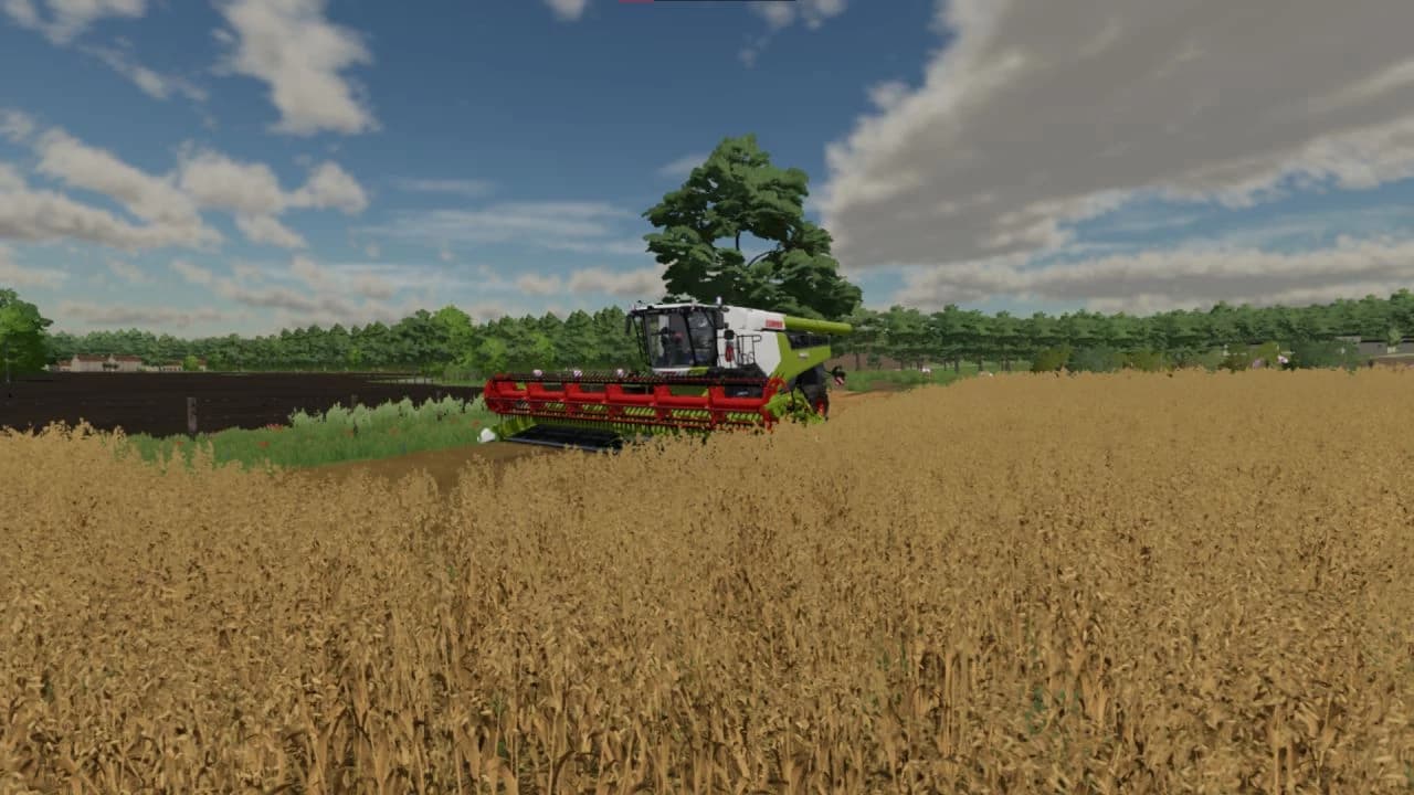 CLAAS LEXION 8000 EDIT 3