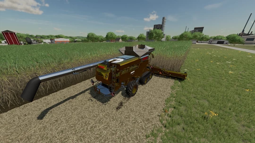 CLAAS LEXION 8900 4N1