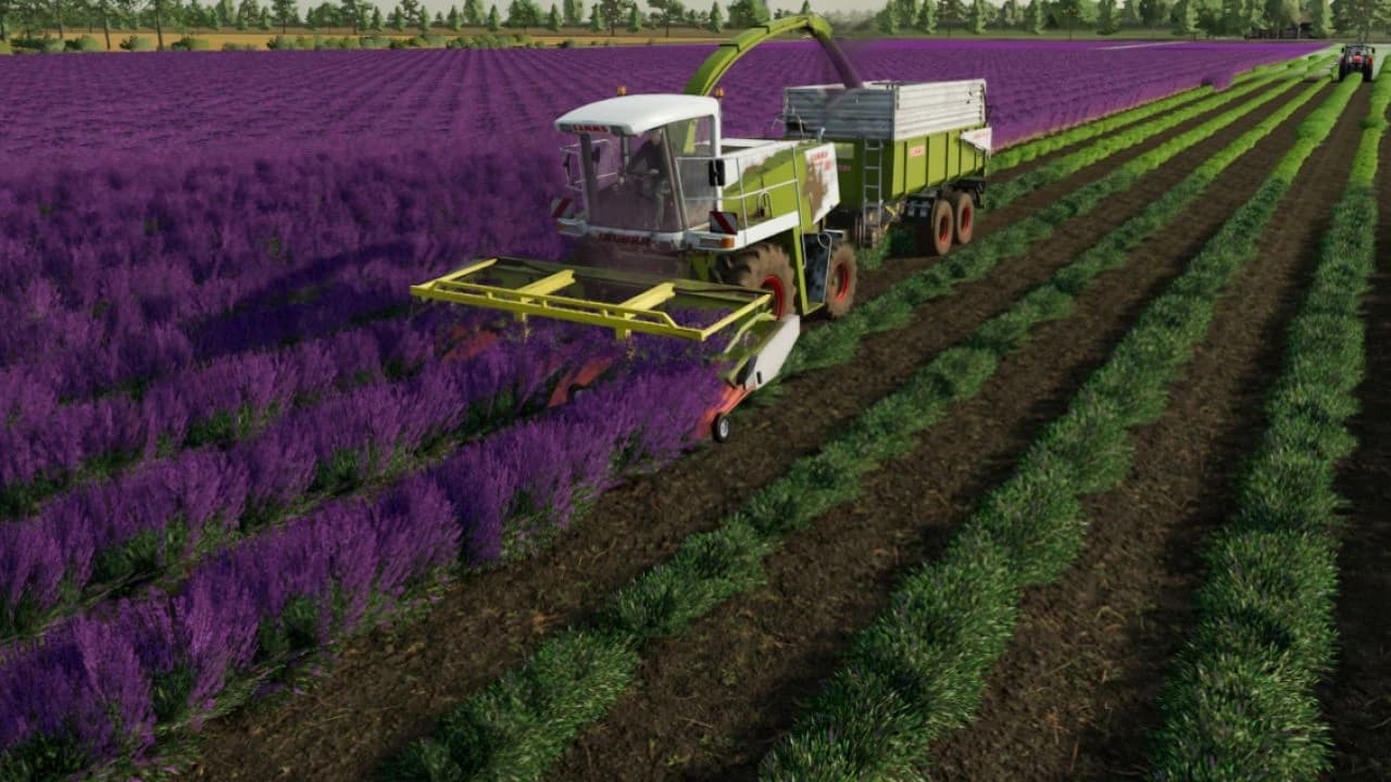CLAAS Lavender Header Bar 4