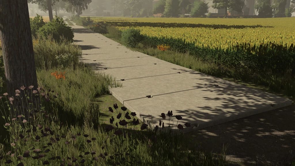 CONCRETE SLABS 5