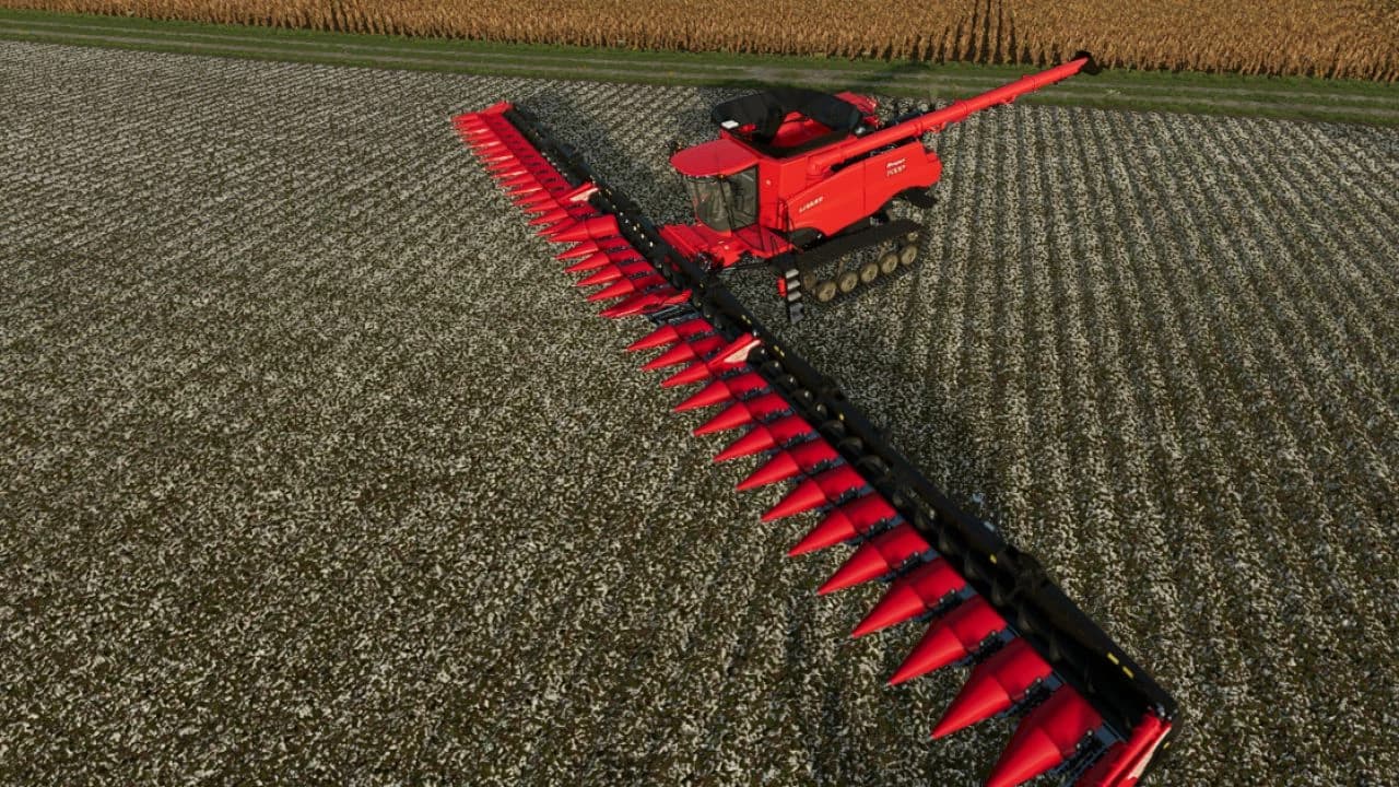 CORN 27M FIELD CORN 5