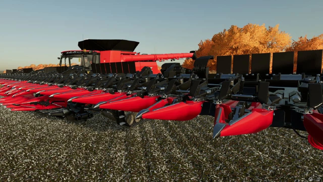 CORN 27M FIELD CORN 3