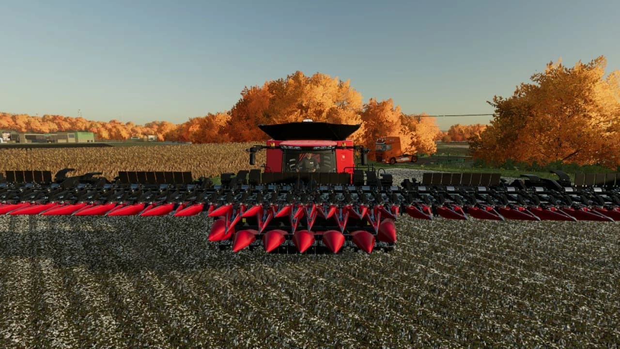 CORN 27M FIELD CORN 2