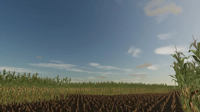 CORN MAZE 2