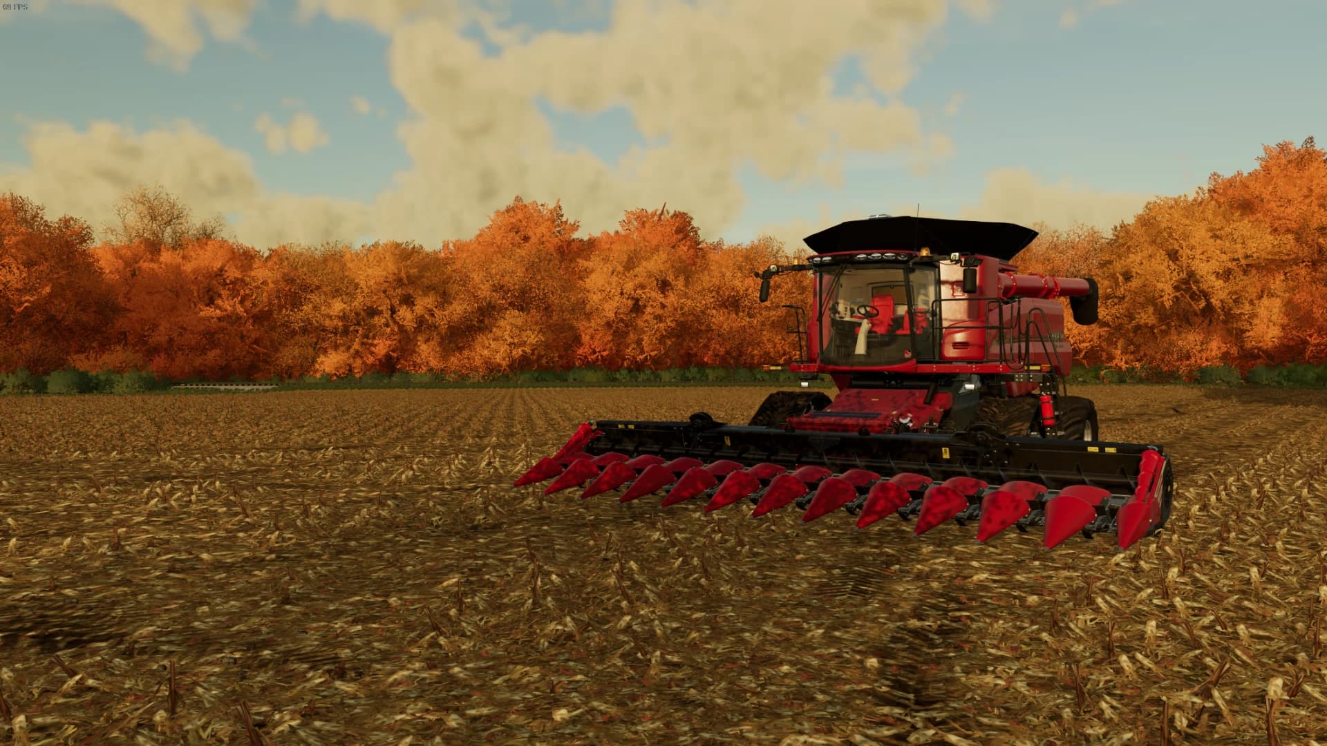 CORN TRASH TEXTURES