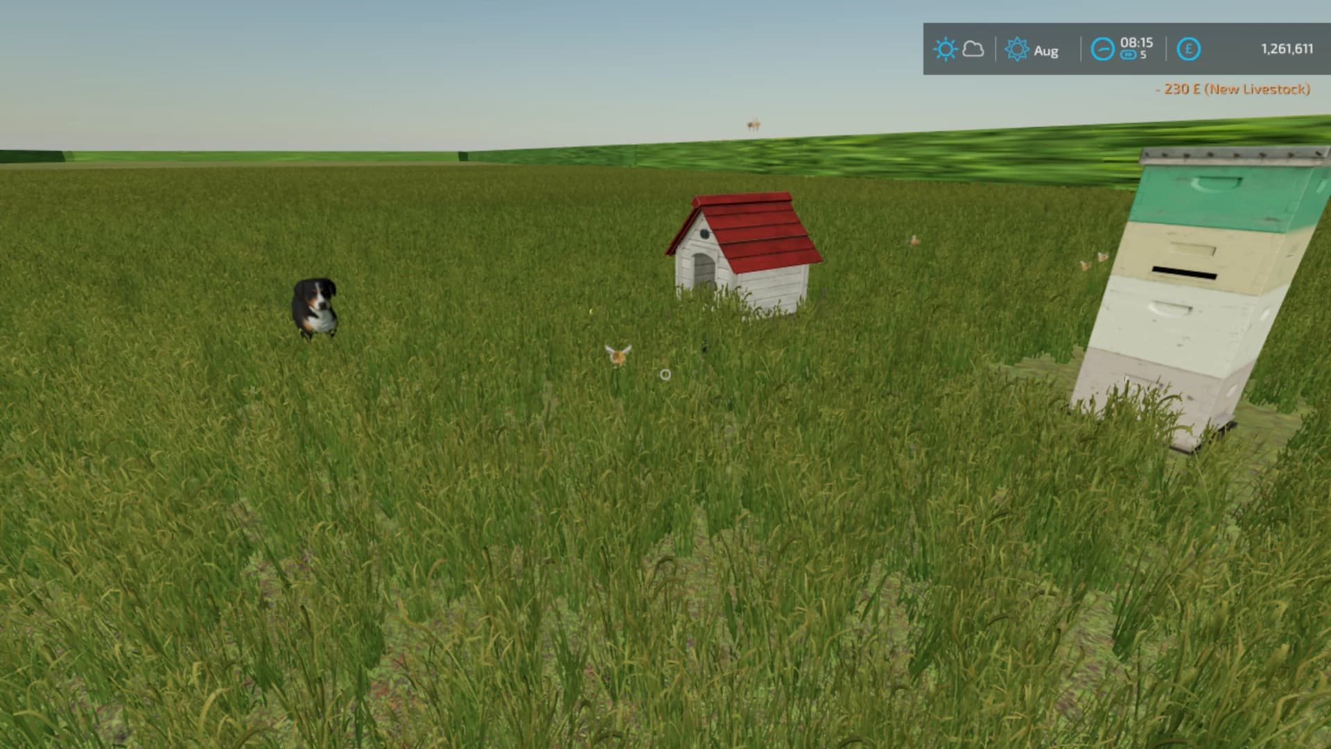 COUNTRY FARM DEMO FASHION 4