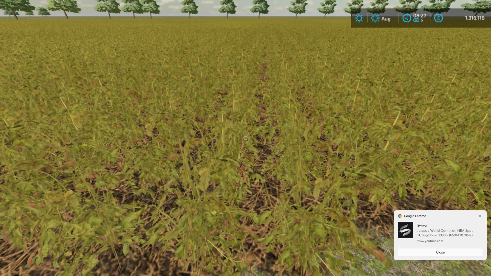 COUNTRY FARM 3