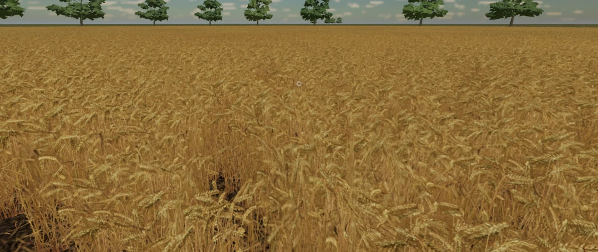 COUNTRY FARM