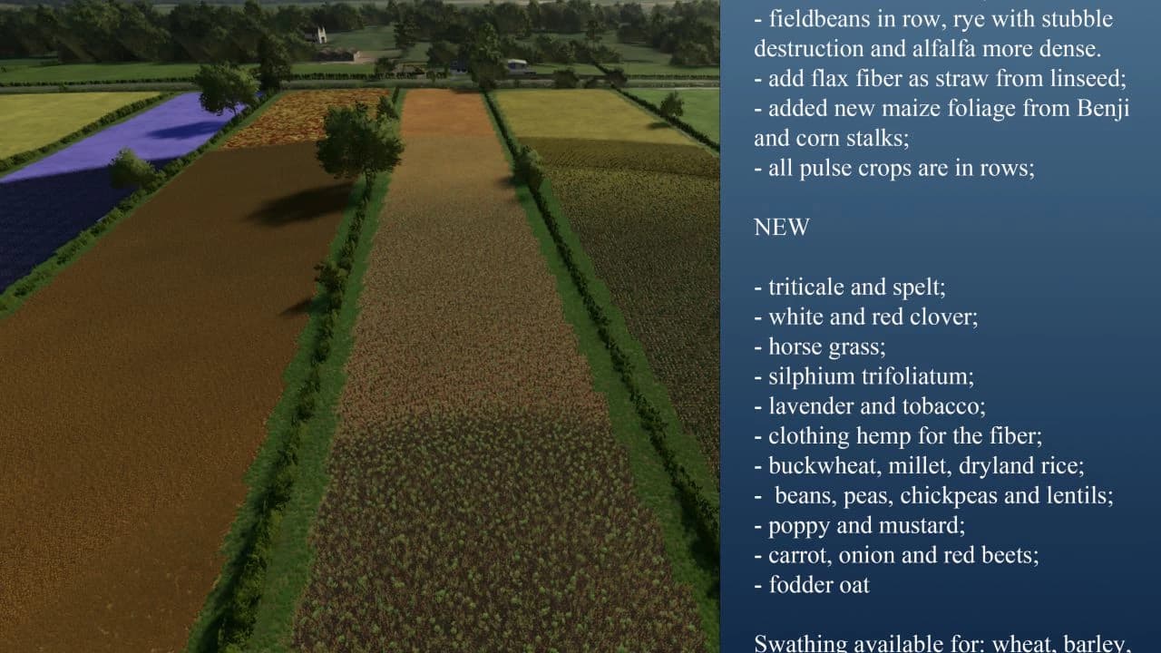 COURT FARMS MULTIFRUIT EDIT 2