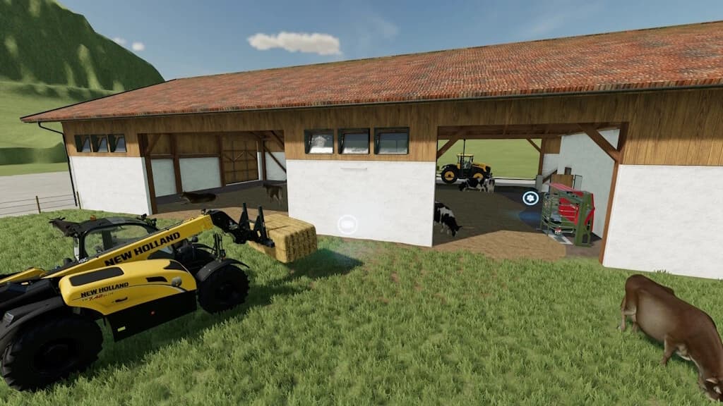 COW BARN 5
