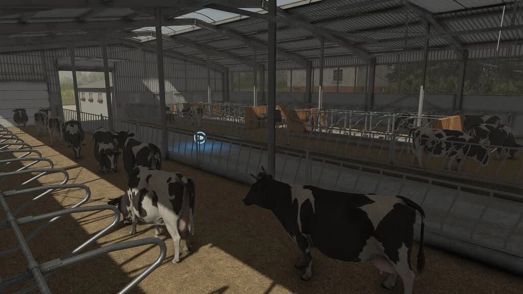 COW BARN 3
